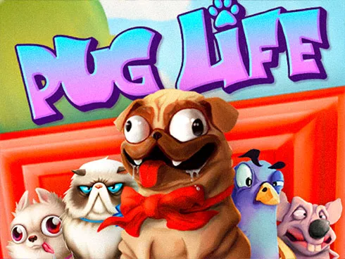 Pug Life Pug Life